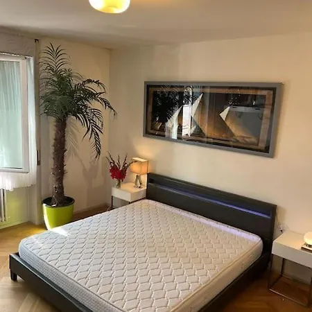 Winter Apartment